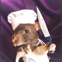 not-so-daily-rats avatar
