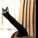 not-so-myconid-witch avatar