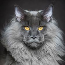 not-so-wicked-witch-blog1 avatar