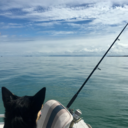 not-your-matee avatar