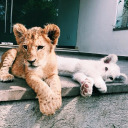 not-your-princess-now avatar