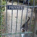 notaboxofavocados avatar