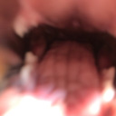 notaceventura avatar