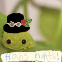 notactuallyabirb avatar