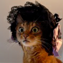 notaflyingbagelorcroissant avatar
