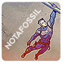 notafossil avatar