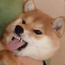 notaneedoramust avatar