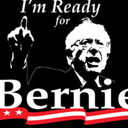 notanotherberniesandersblog avatar