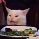 notanus-but-better avatar