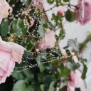 notarobot-lastichecked avatar