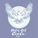 notasdelcielo avatar
