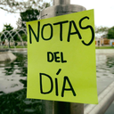 notasdeldiia avatar