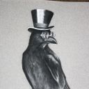 notbirdofprey avatar