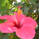 notenoughtogivebread avatar