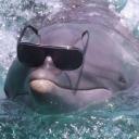 notenoughviolence avatar