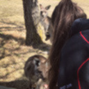 notes-on-nature avatar