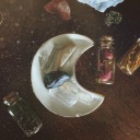 notesandforests avatar