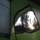 notesfromalaska avatar