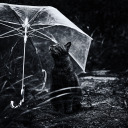 notesfromasundaymorning avatar