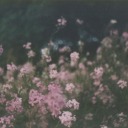 notesonwindowpane avatar