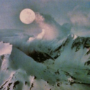 noteven--lions avatar