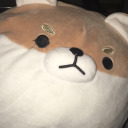 notevenbiscuits avatar