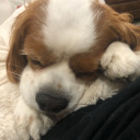 noteveryone-notyou-nopenotme avatar