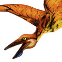 noteverysaurisadinosaur avatar