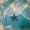 notexpect-live avatar