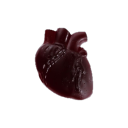 notfangs avatar