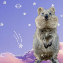 notfeelingverywell avatar