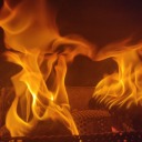 notfromtwitter avatar