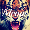 nothing-but-a-dreamerr avatar