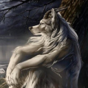 nothing-but-salt avatar