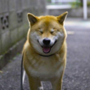 nothing-i-say-makes-sense avatar