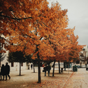 nothingbutadoreyou avatar