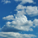 nothingbutpoison avatar