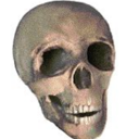 nothingbutskeletons avatar