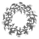 nothingbutthievesjapan avatar