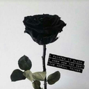 nothingevenmatters07 avatar