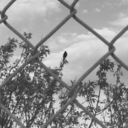 nothingexistsnever avatar