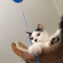 nothingimportantt avatar