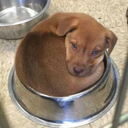 nothingimportsblog avatar