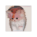 nothinginterestingh avatar