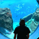 nothingliketheusual avatar