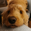 nothingmuchreally5 avatar