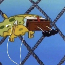 nothingnowhere-moved avatar