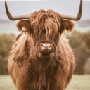 nothingreallymatterthatmuch avatar