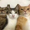 nothingsuspiscusblog avatar