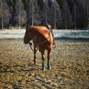 nothingtodobutdrink avatar